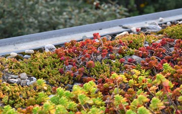 the cost of Lower Lovacott green roof installation