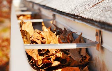 Lower Lovacott gutter cleaning companies