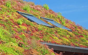 Lower Lovacott living roof systems